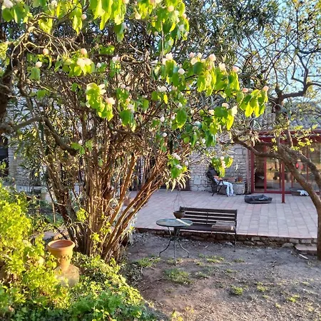 Maison En Provence Avec Jardin, Piscine, Terrasse, Climatisation * Saint-Paulet-de-Caisson