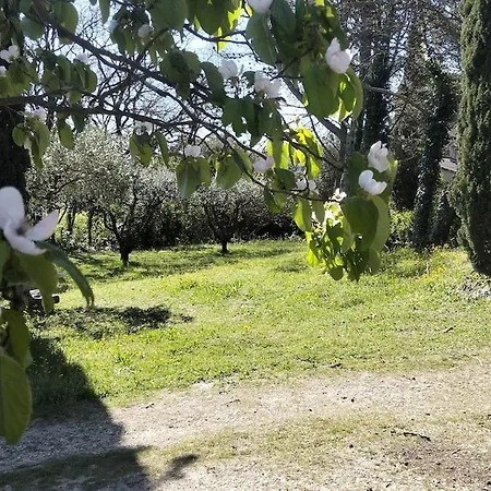 Maison En Provence Avec Jardin, Piscine, Terrasse, Climatisation Saint-Paulet-de-Caisson