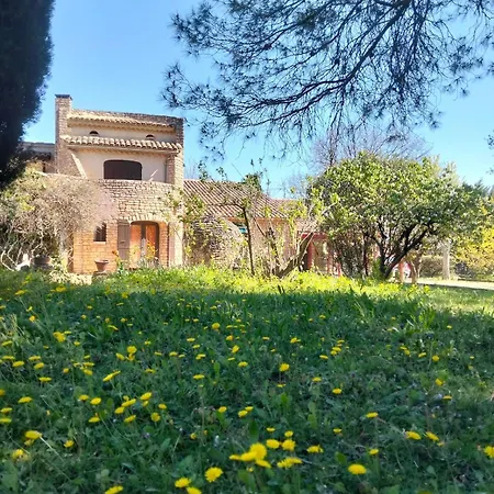 Maison En Provence Avec Jardin, Piscine, Terrasse, Climatisation Saint-Paulet-de-Caisson