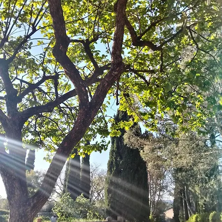 Villa Maison En Provence Avec Jardin, Piscine, Terrasse, Climatisation
