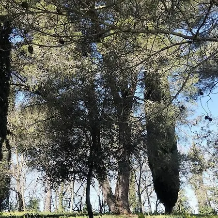 Maison En Provence Avec Jardin, Piscine, Terrasse, Climatisation Villa Saint-Paulet-de-Caisson